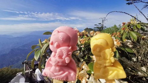 只在峨眉山才能吃到的快乐，被游客宠上了天的“萌贝树”